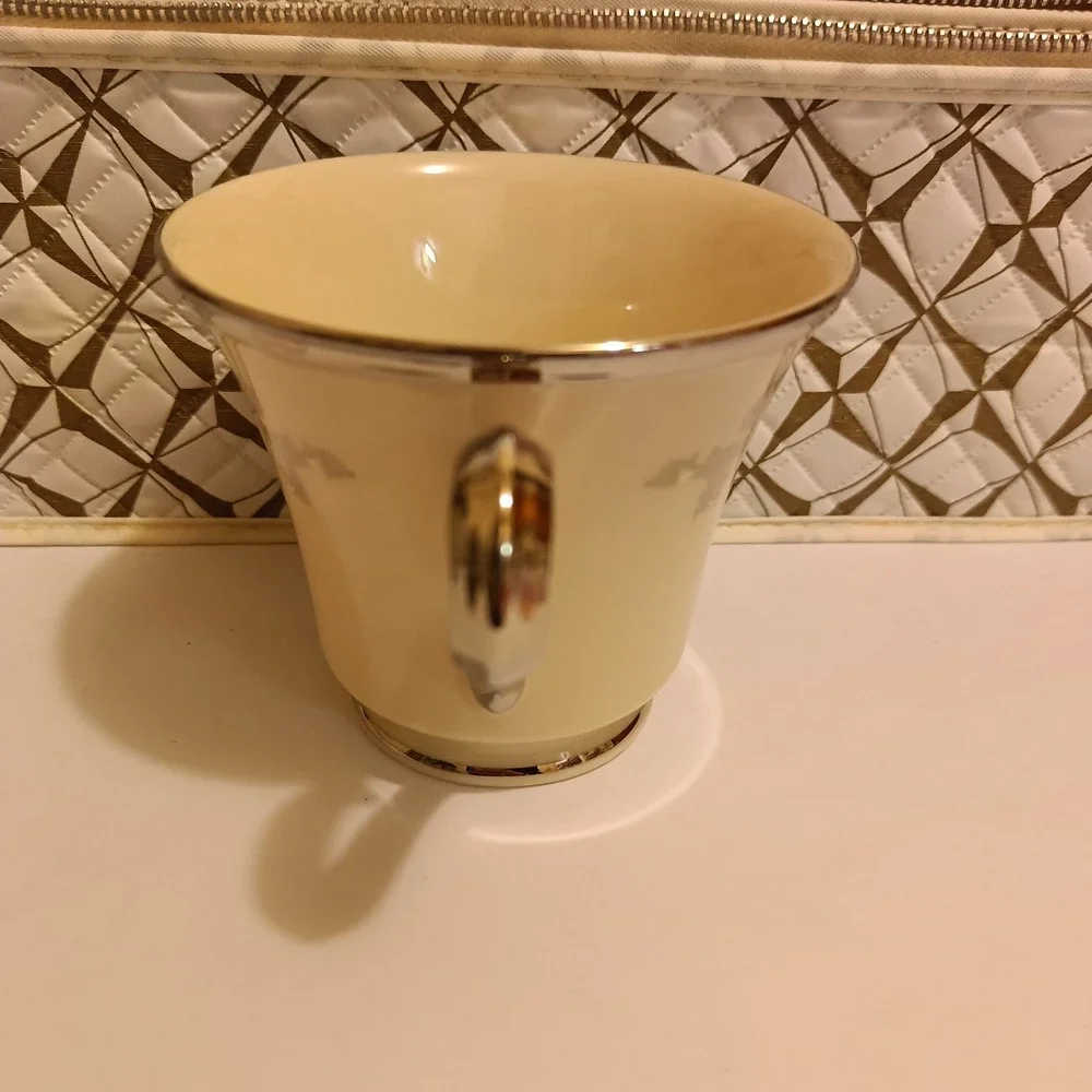 Vtg Lenox Snow Lily Discontinued China Set Of 12 Coffee/Tea Cups w/ Storage Case